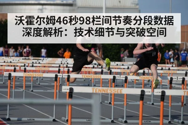 沃霍尔姆46秒98栏间节奏分段数据深度解析：技术细节与突破空间